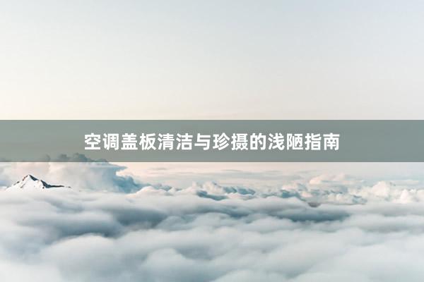 空调盖板清洁与珍摄的浅陋指南